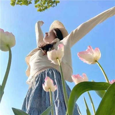 霹雳皇龙纪