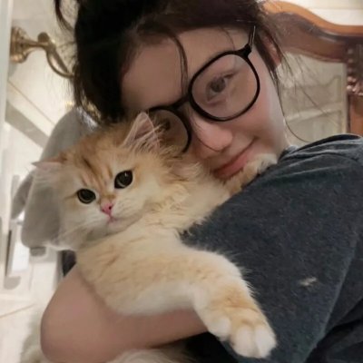 艾哈迈德王子历险记